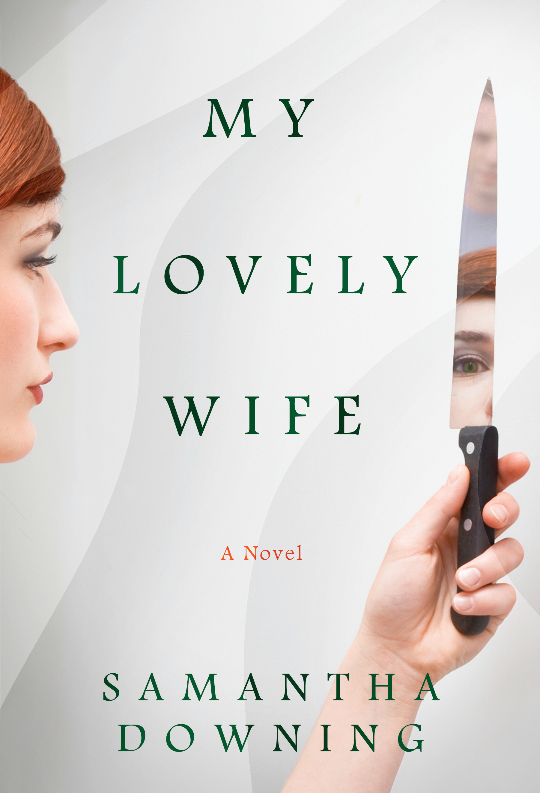 My Lovely Wife By Samantha Downing Lincoln Library