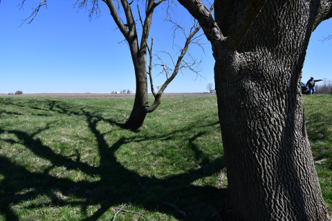 The visible path of the Edwards Trace (Logan County, Illinois)