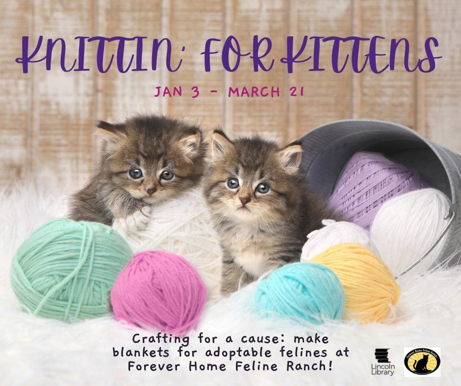 Knittin' for Kittens