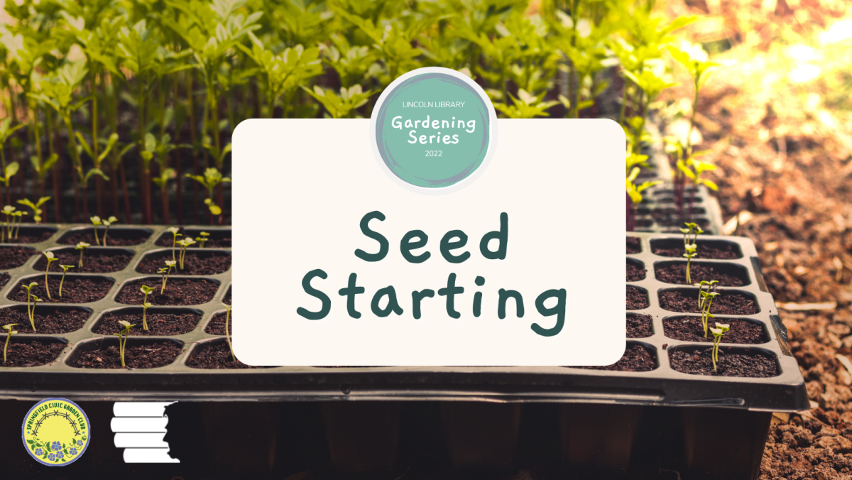 seed starting